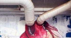 Дневна доза хумор