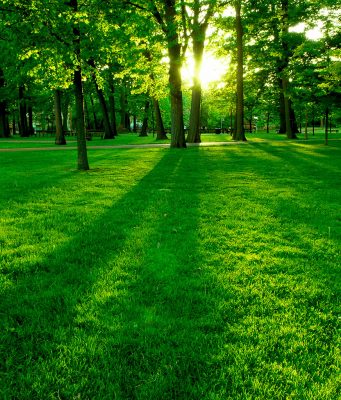 Общините от „Централен Балкан“ подготвят обща кандидатура за създаване на биосферен парк