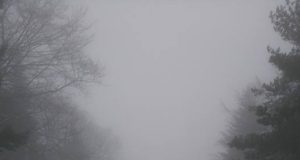 Силен сняг вали между Севлиево и Велико Търново