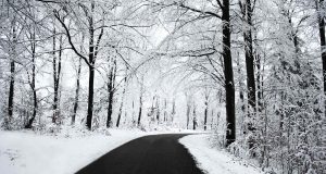 Зимната обстановка в община Севлиево към 08:30 часа на 07.01.2016 г.