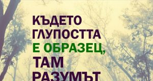 Kъдето глупостта е образец…