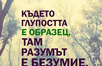 Kъдето глупостта е образец…