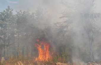 Домашни животни загинаха при пожар тази сутрин в Севлиево