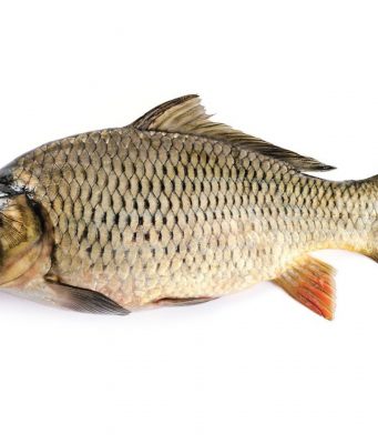 Бракониери действат като терористична група – връзки със Севлиево